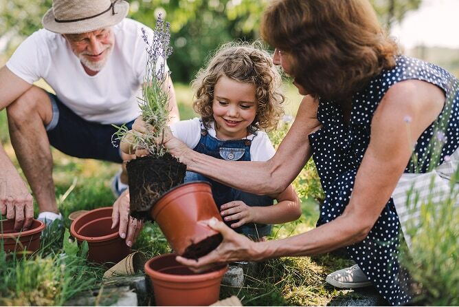 Grandparents planting potted plants with young grandaughter