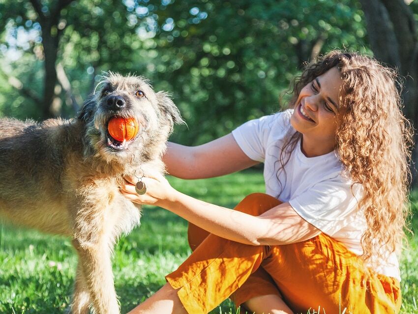 Young woman playing ball with dog in a park