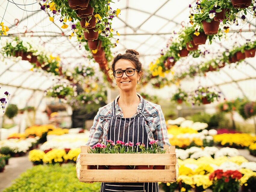 Female florist standing in greenhouse holding a wooden tray of flowers