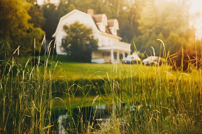 Photo of a pond and tall grass with a house and trees in the background
