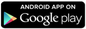 GooglePlay Store icon